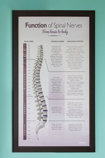 Chiropractic Belton MO Spine Poster
