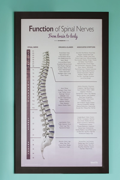 Chiropractic Belton MO Spine Poster Chiropractic Belton MO Spine Poster