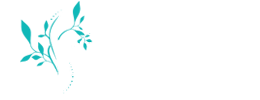 Chiropractic Raymore MO Hampton Chiropractic Logo